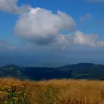 Apartamenty Zywiec