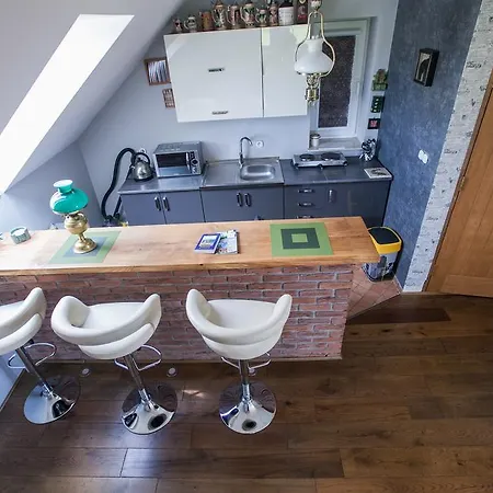 公寓 Apartamenty Zywiec *