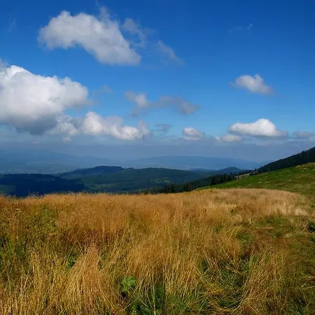 Apartamenty Zywiec * Żywiec