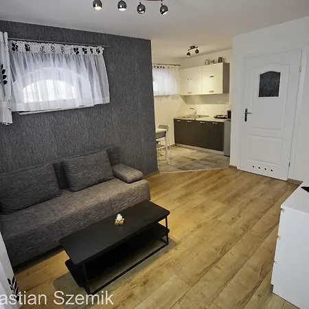 公寓 Apartamenty Zywiec