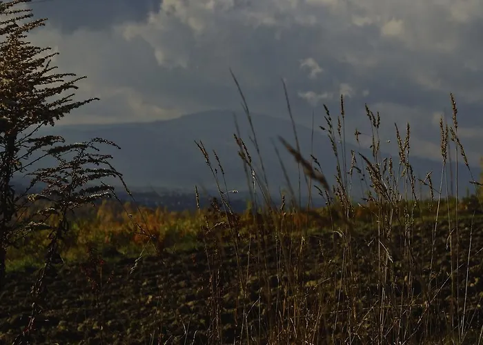 Apartamenty Zywiec * Żywiec