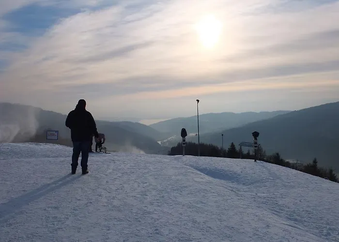 Apartamenty Zywiec *