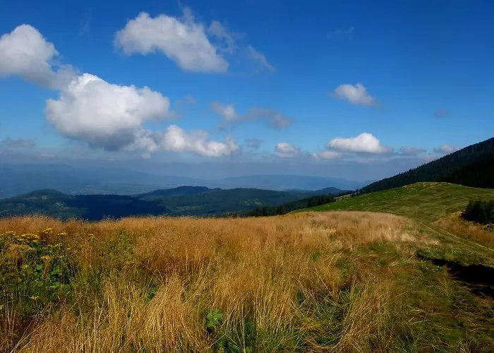 Apartamenty Zywiec * Żywiec